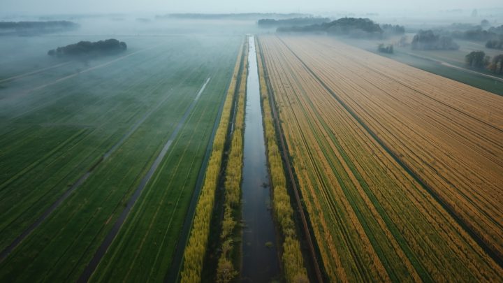 : Skąd się wzięły rowy na polach? Krótka historia melioracji w Polsce